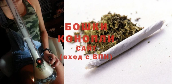 прущие грибы Сафоново