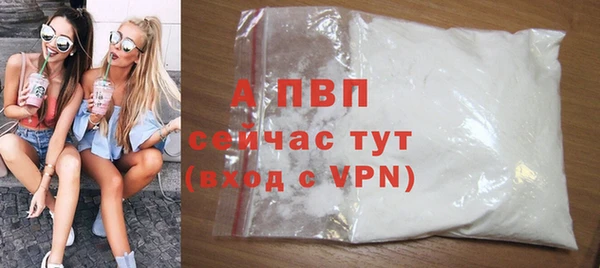 прущие грибы Сафоново
