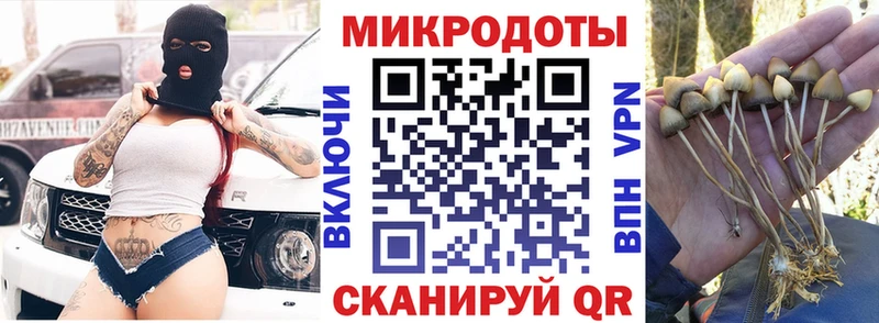 Галлюциногенные грибы мицелий  Купить где  Сарапул 